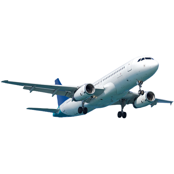 International patient transport